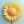 向日葵web3