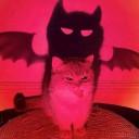 Aranna@DAism