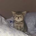 1199