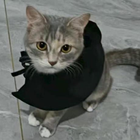 litangwangzidingzhen