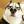 Billyluo