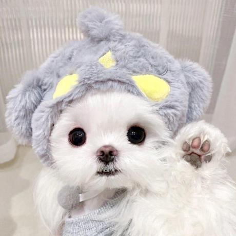 caoyongyy851